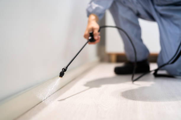 Licensed Termite Control service in Rankin, TX - Nex Pest Control