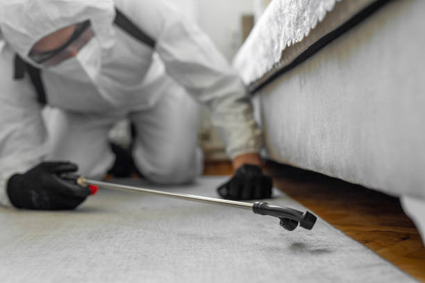 Professional Termite Control technician working in Rankin, TX