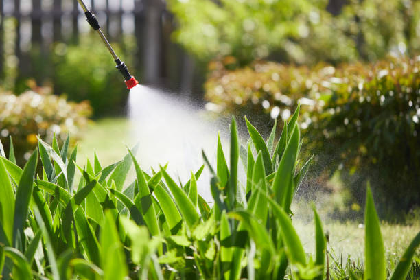 24/7 Emergency Termite Control experts in Rankin, TX