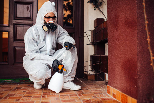 Reliable Termite Control contractor in Rankin, TX by Nex Pest Control
